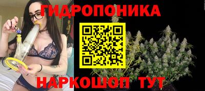 метадон Будённовск