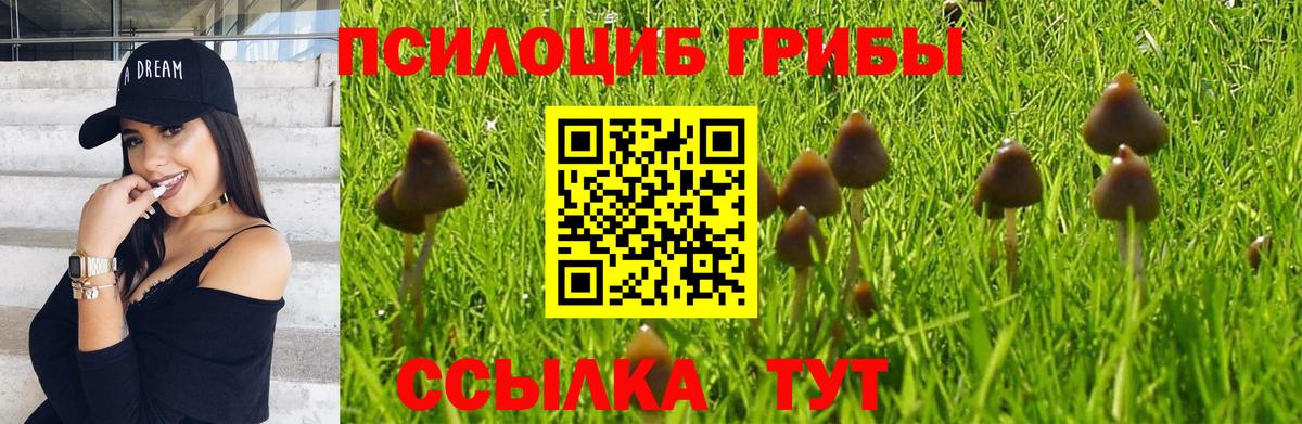 Псилоцибиновые грибы MAGIC MUSHROOMS Лысьва